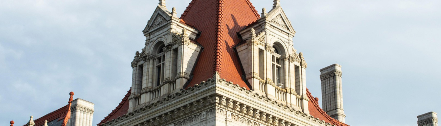 state-house-albany-roof